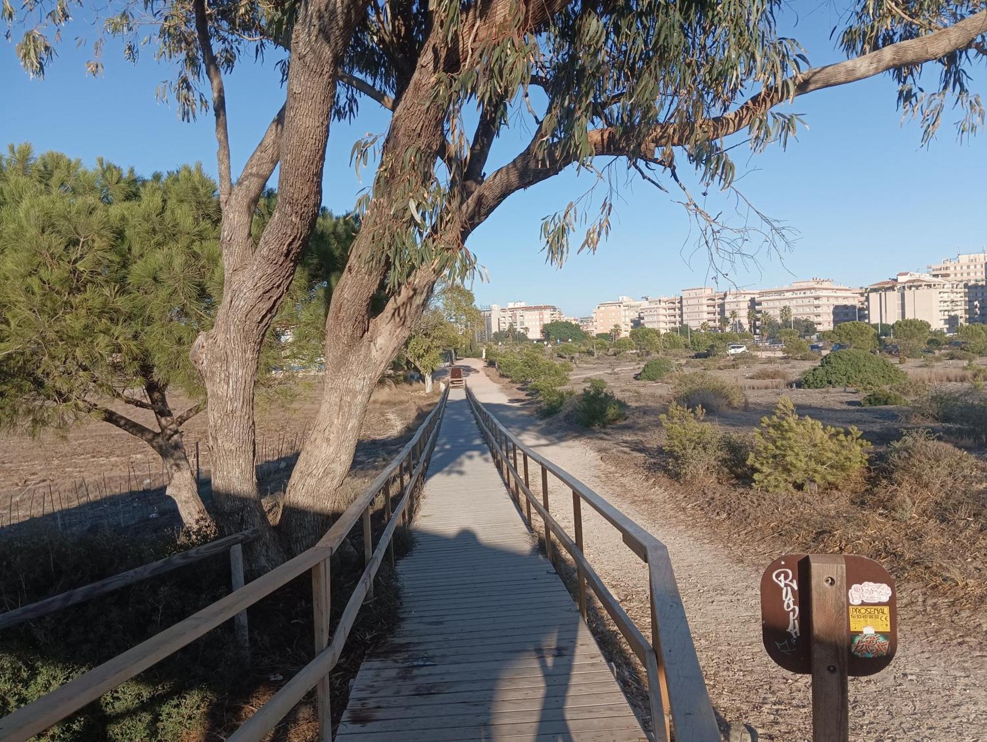 Bonito Apartamento 150 M De La Playa La Mata ลามาตา ภายนอก รูปภาพ