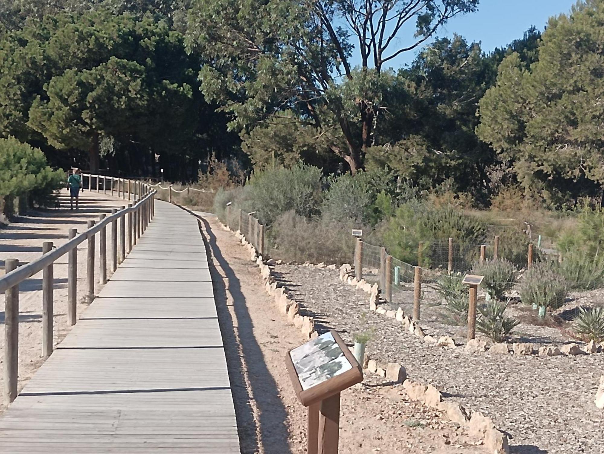 Bonito Apartamento 150 M De La Playa La Mata ลามาตา ภายนอก รูปภาพ
