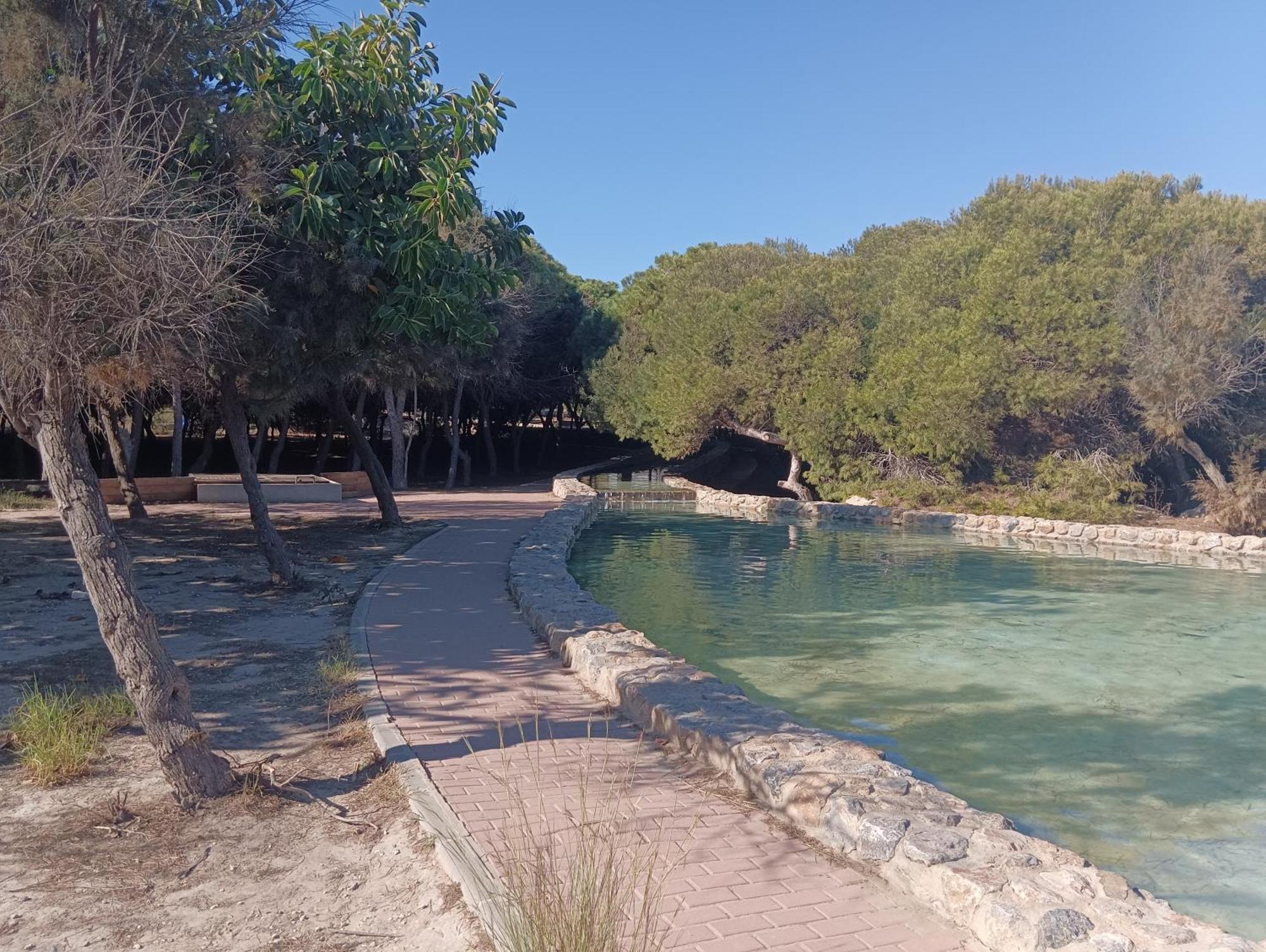Bonito Apartamento 150 M De La Playa La Mata ลามาตา ภายนอก รูปภาพ
